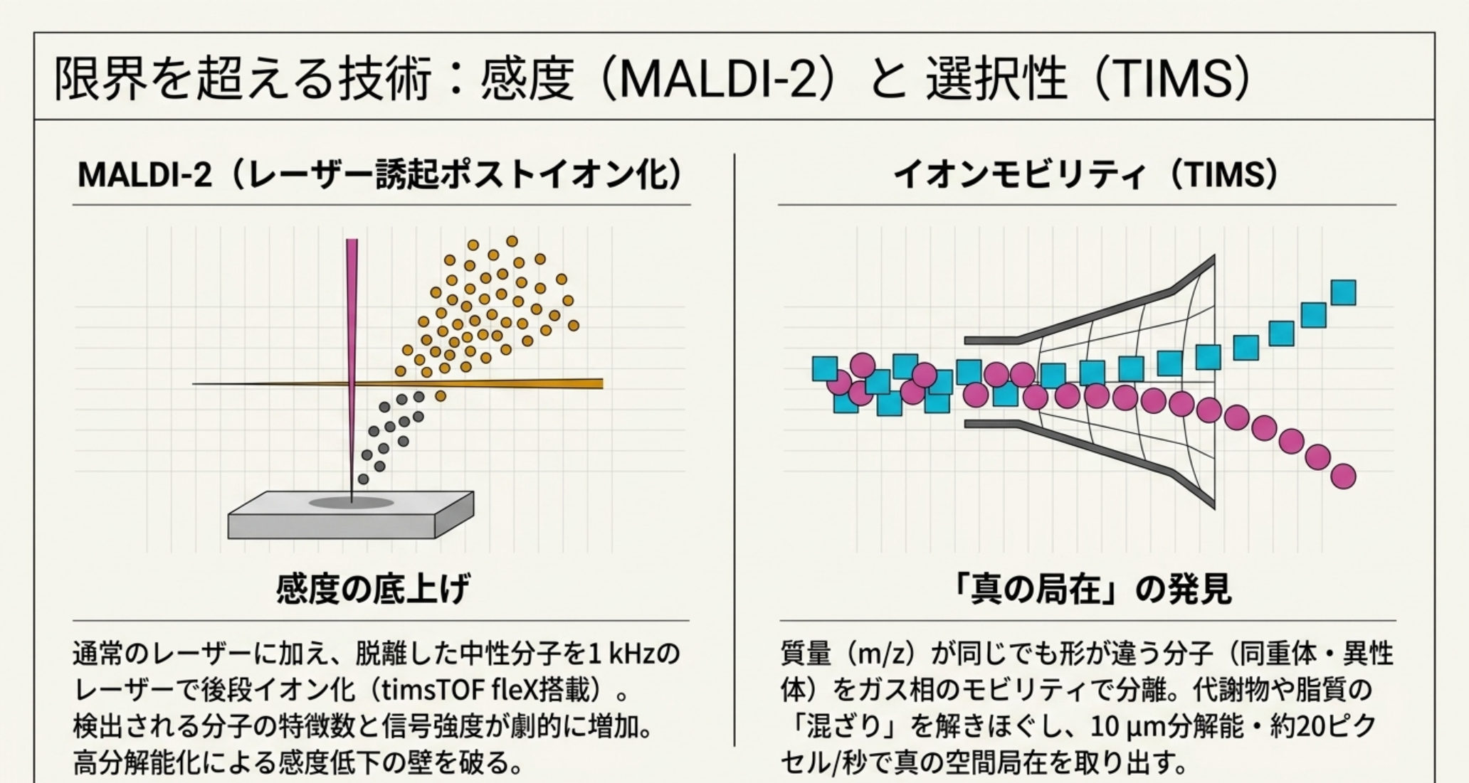 図解：MALDI-2はポストイオン化で感度を底上げ、TIMS（イオンモビリティ）は同重体・異性体をガス相分離して真の局在を得る