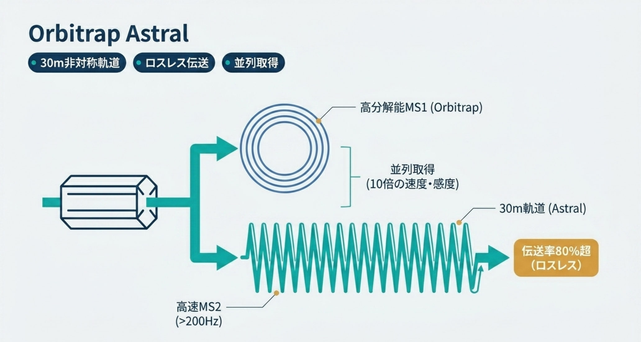 図解：Orbitrap Astralの原理。四重極で選別後、Orbitrapが高分解能MS1、Astralが30m非対称トラックのロスレス伝送で高速MS2を並列に担う