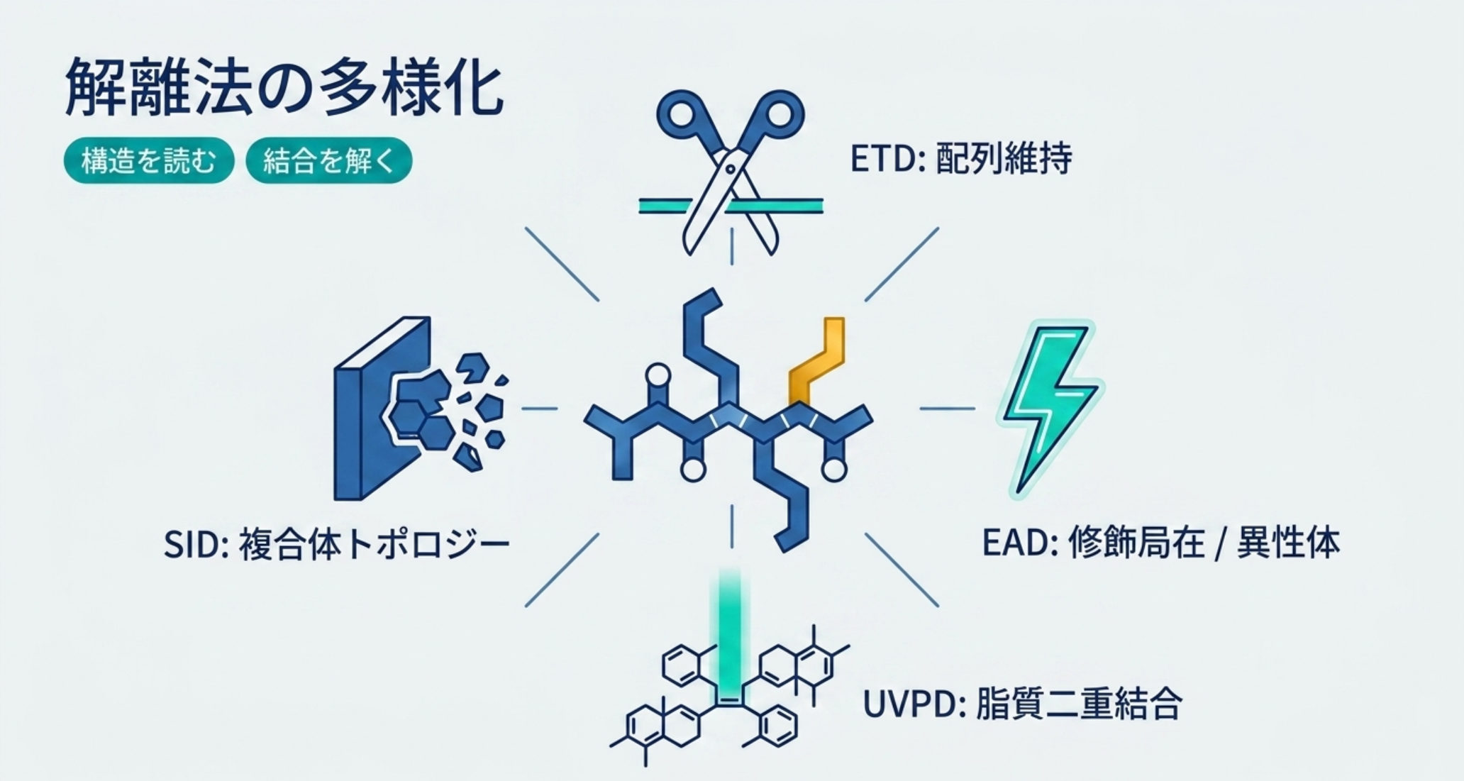 図解：解離法の多様化。CID/HCDに加え、EAD・ETD・UVPD・SIDで翻訳後修飾の局在・異性体・複合体トポロジーを読む