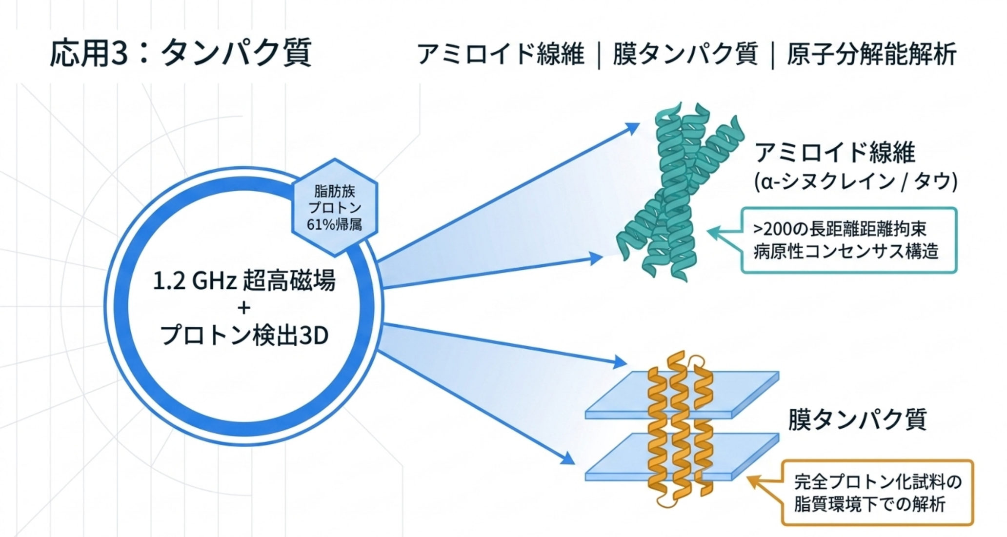 図解：タンパク質応用。アミロイド線維（α-シヌクレイン/タウ）や膜タンパク質を、プロトン検出3Dで原子分解能解析
